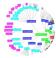 DITA, Metadata, and Taxonomy